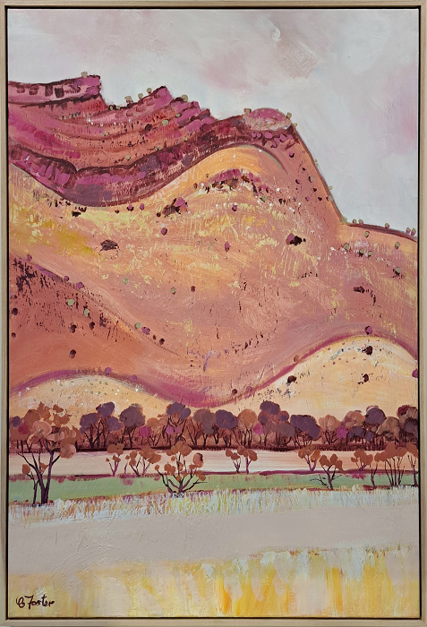 Carole Foster N'Dhala Gorge Australian landscape artist Town & Country Gallery Gippsland
