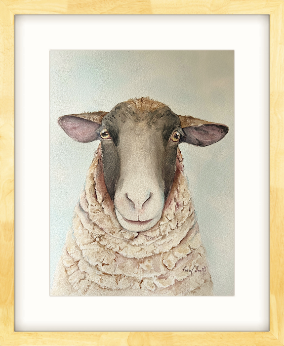 Coral Smith You can't pull the wool over my eyes watercolour Australian artist Town & Country Gallery Gippsland