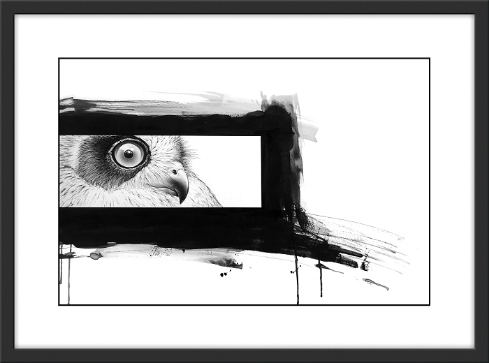 Darren Gilbert Mopoke owl Australian artist Town & Country Gallery Gippsland