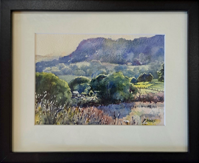 Dawn Stubbs Waning Light watercolour framed Australian artist Town & Country Gallery Gippsland