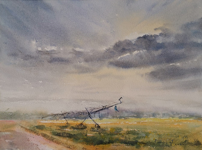 Donna Taylor After the rain Modella Australian artist Town & Country Gallery Gippsland