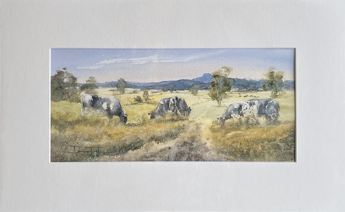 Donna Taylor Cows grazing Bona Vista near Mt Worth Australian landscape artist Town & Country Gallery Gippsland
