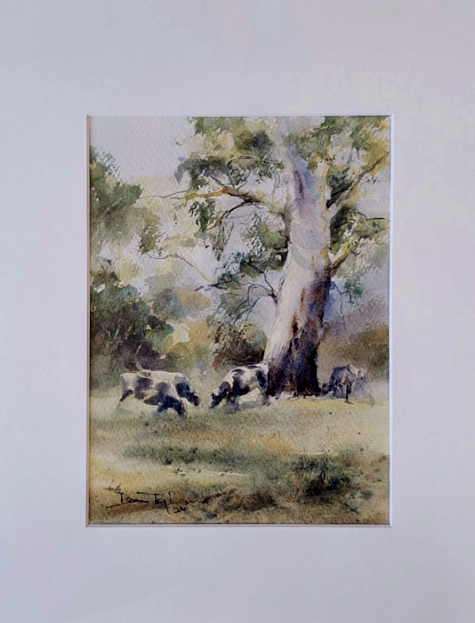 Donna Taylor Cows grazing under the Gum, Labertouche Australian landscape artist Town & Country Gallery Gippsland