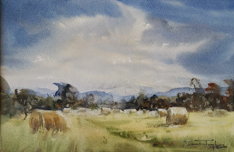 Donna Taylor Hay season in Labertouche Australian artist Town & Country Gallery Gippsland