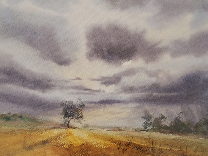 Donna Taylor Storm coming Labertouche Australian artist Town & Country Gallery Gippsland