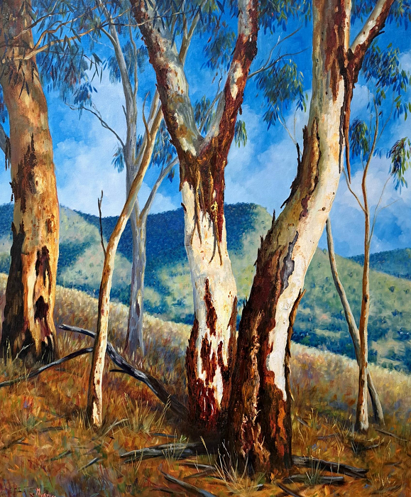 Graeme Myrteza Dargo morning Australian artist Town & Country Gallery Yarragon Gippsland