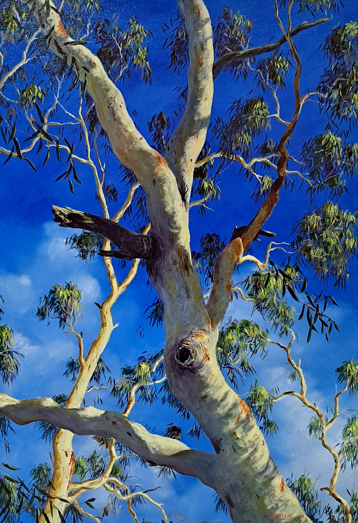 Graeme Myrteza Thorpy Gum Study Australian artist Town & Country Gallery Yarragon Gippsland