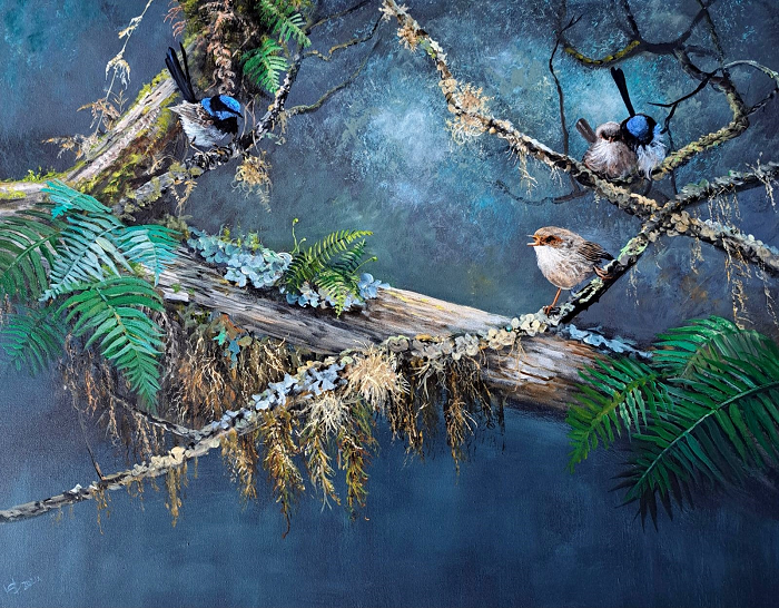 Helena Coltman Blue Wrens in the Rainforest Australian artist Town & Country Gallery Gippsland