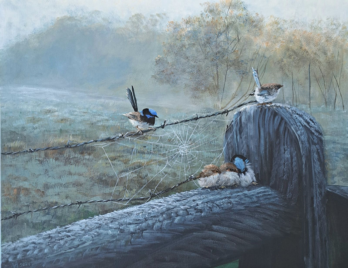 Helena Coltman Blue wrens frosty morning Australian artist, Town & Country Gallery, Gippsland