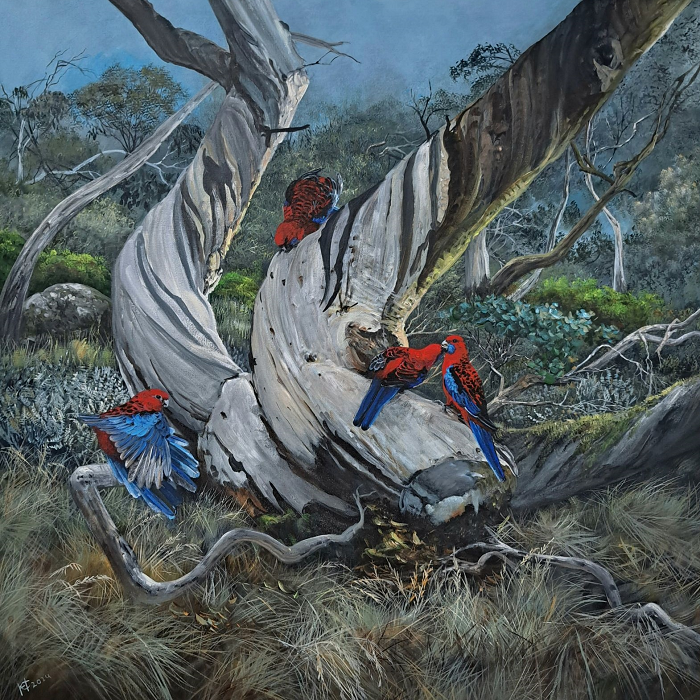Helena Coltman Crimson Rosellas and Snow Gums Australian artist Town & Country Gallery Gippsland
