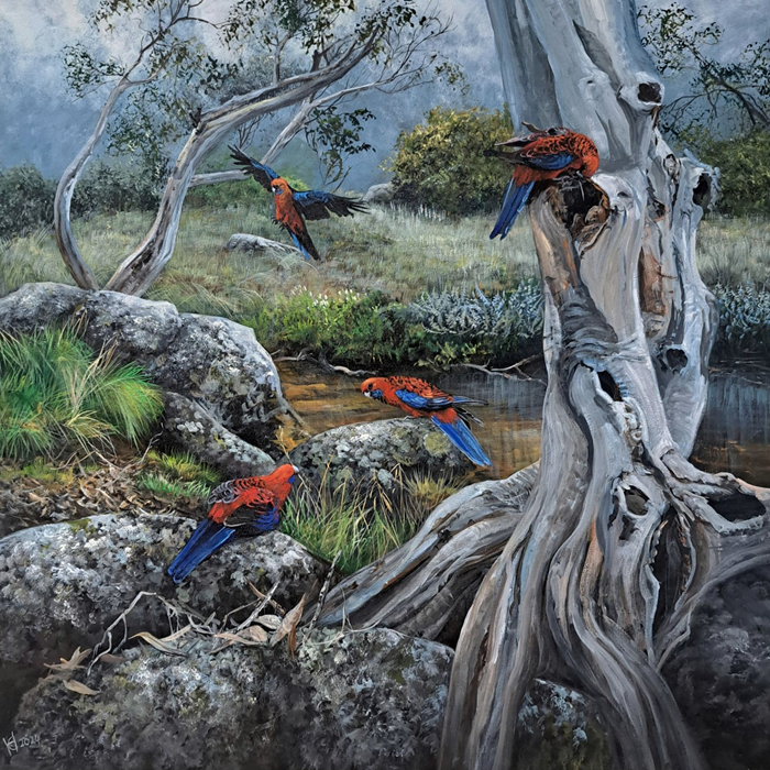 Helena Coltman Crimson Rosellas at the pond acrylic Australian artist Town & Country Gallery Gippsland