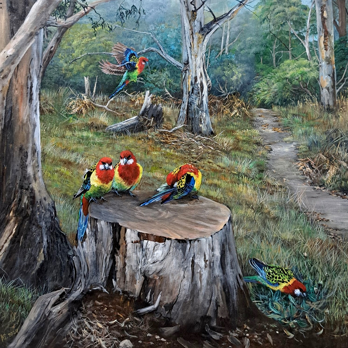 Helena Coltman Eastern Rosellas in the bush Australian artist Town & Country Gallery Gippsland