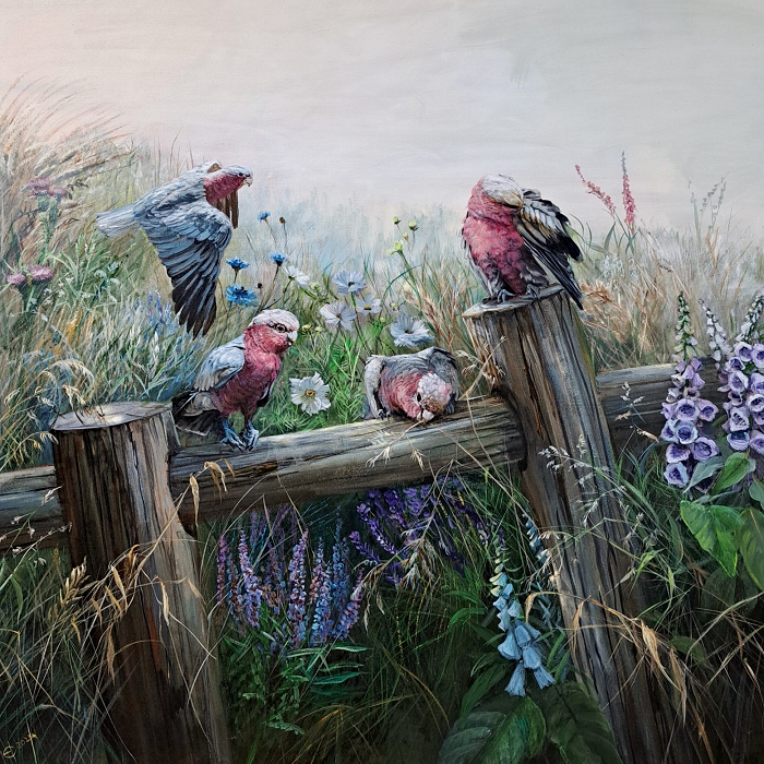 Helena Coltman Galahs in the wild meadow acrylic on canvas Australian landscape artist Town & Country Gallery Gippsland