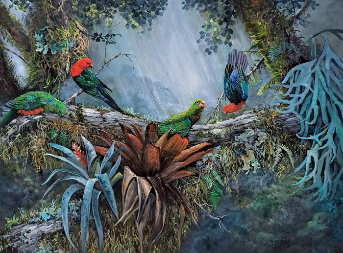 Helena Coltman King Parrots in the Rainforest acrylic on Australian artist Town & Country Gallery Gippsland