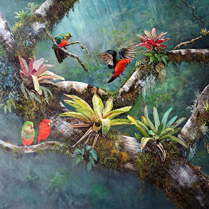 Helena Coltman King Parrots in the rainforest Australian artist Town & Country Gallery Yarragon Gippsland