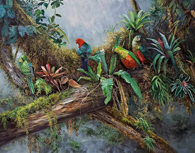 Helena Coltman King Parrots in the rainforest try Gallery Gippsland