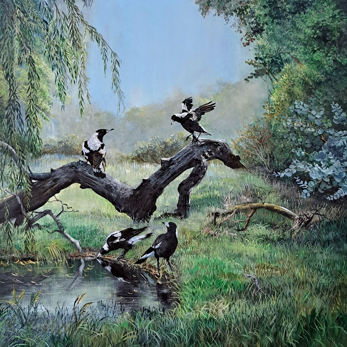 Helena Coltman Magpies at the waterhole Australian artist Town & Country Gallery Gippsland