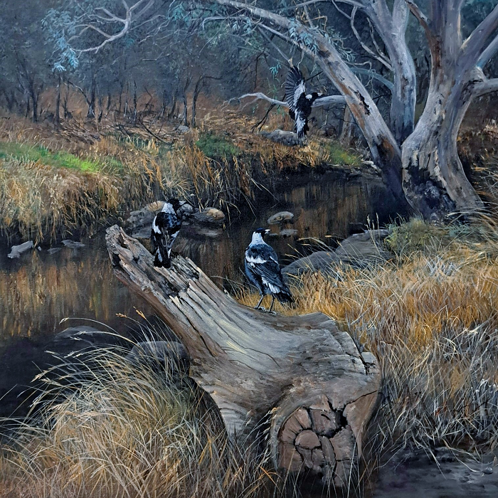 Helena Coltman Magpies by the creek Gippsland Australian artist Town & Country Gallery Yarragon