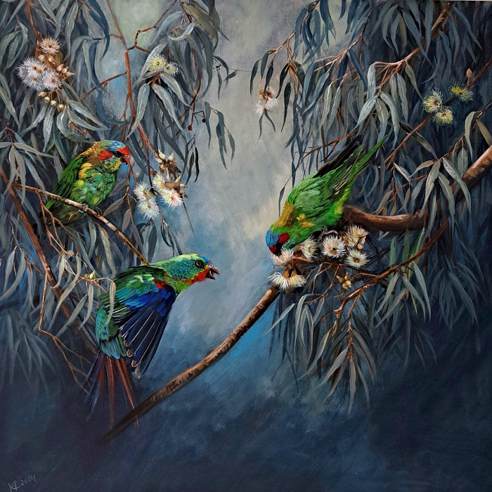 Helena Coltman Musk Lorikeets White flowering gum 91x91cm acrylic on stretched canvas Australian artist Town & Country Gallery Gippsland