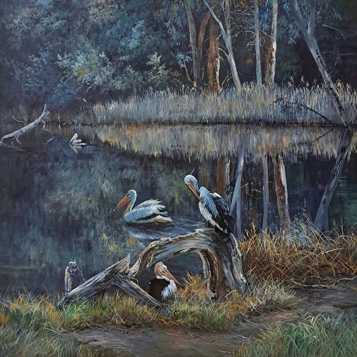 Helena Coltman Pelicans by the water Gippsland Australian artist Town & Country Gallery Yarragon