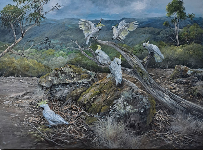 Helena Coltman Sulphur-crested Cockatoos in the Mountains acrylic on canvas Australian artist Town & Country Gallery Gippsland