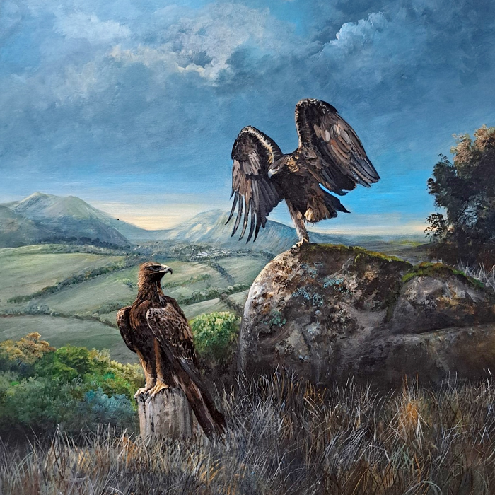 Helena Coltman Wedge-tailed eagles 91x91cm acrylic on stretched canvas Australian artist Town & Country Gallery Gippsland