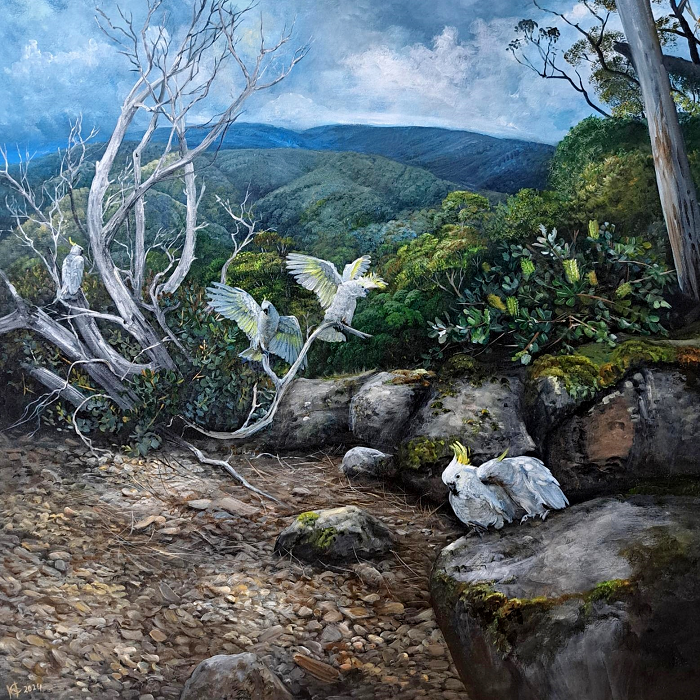 Helena Coltman White Sulphur crested cockatoo's Australian artist Town & Country Gallery Gippsland