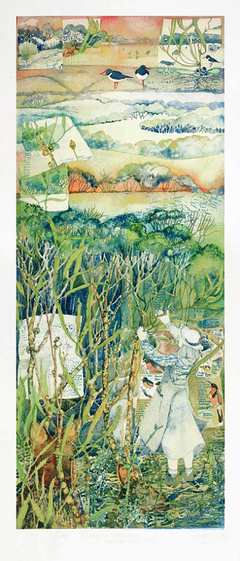 Janet Ayliffe Cnereofolia thickets on Haines high hill