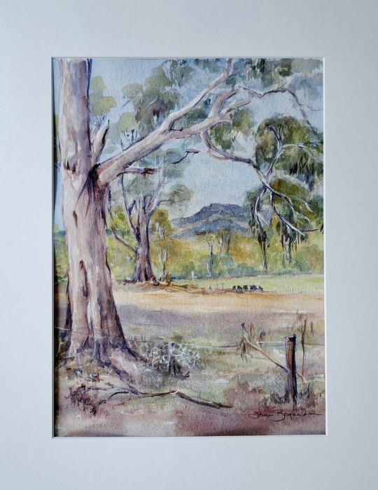 Joan Bognuda-Allen Mt Worth Bull Swamp Rd Australian artist Town & Country Gallery Gippsland