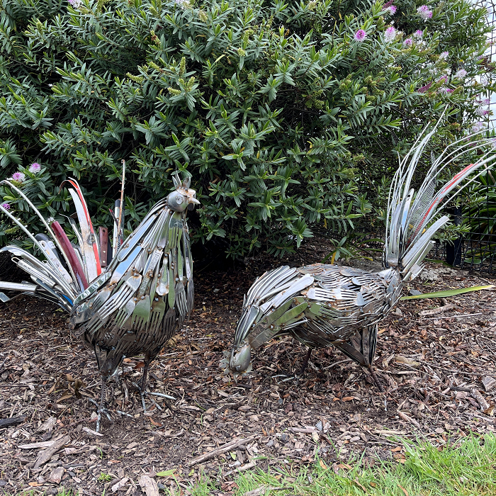 Lachie Yuill Bernard and Bertram - roosters Town & Country Gallery Australian artist Gippsland