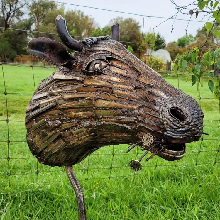 Lachie Yuill Daisy the Cow Bust Recycled Metal Sculpture Gippsland Town & Country Gallery Yarragon Australian Artist
