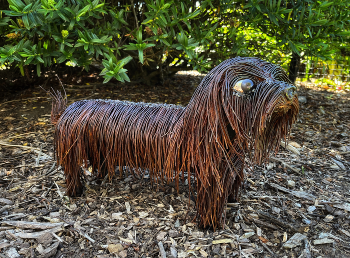 Lachie Yuill Oscar - shaggy terrier dog Gippsland Town & Country Gallery Yarragon Australian Artist