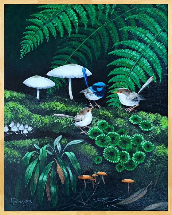 Laurel Foenander Superb blue wrens oils Australian artist Town & Country Gallery Gippsland