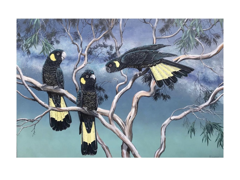 Yellow tailed cockatoo Laurel Foenander Yellowtails and stardust ltd edition Australian artist Town & Country Gallery Gippsland