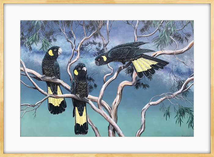 Yellow tailed cockatoo Laurel Foenander Yellowtails and stardust ltd edition Australian artist Town & Country Gallery Gippsland