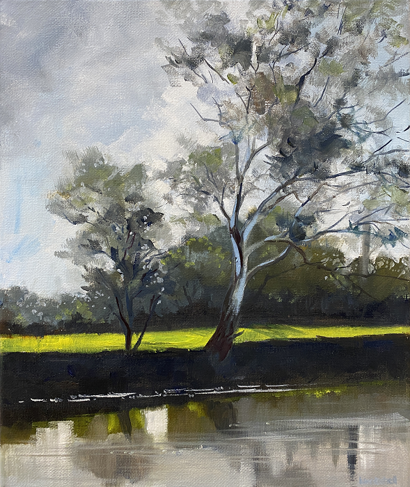 Libby Witchell Afternoon Serenity Latrobe River