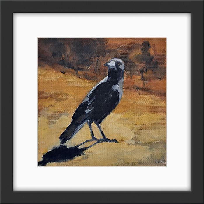 Libby Witchell Curious One Magpie Gippsland Australian Artist Town and Country Gallery Yarragon