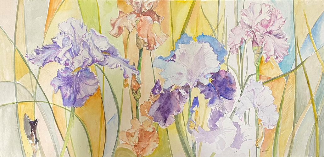 Libby Witchell Irises