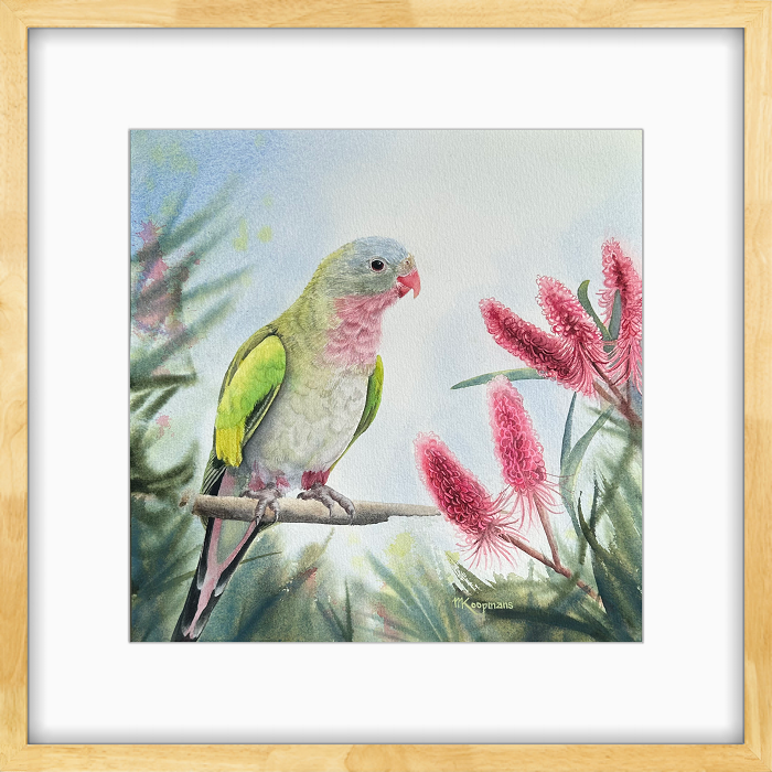 Margaret Koopmans Princess Parrot and Hakea Australian artist, Town & Country Gallery, Gippsland