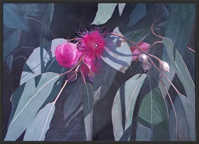 Mary Hennekam Eucalypt oil on canvas framed Australian artist Town & Country Gallery Gippsland