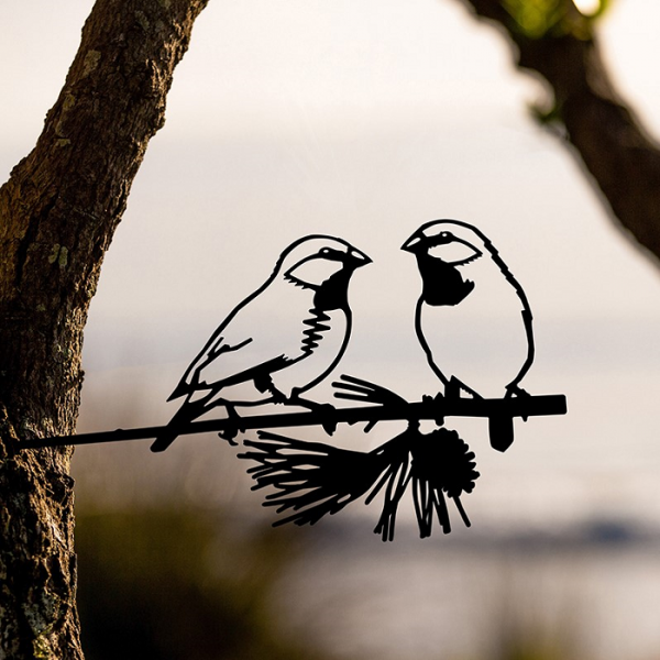 Metalbird Finches
