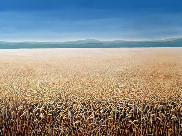 Nick Perrin Wheat Field