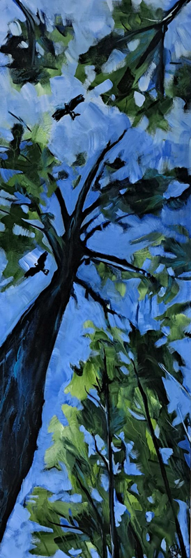 Rachel Knoester Look Up #3 Black Cockatoos overhead Gippsland Australian Artist Town & Country Gallery Yarragon