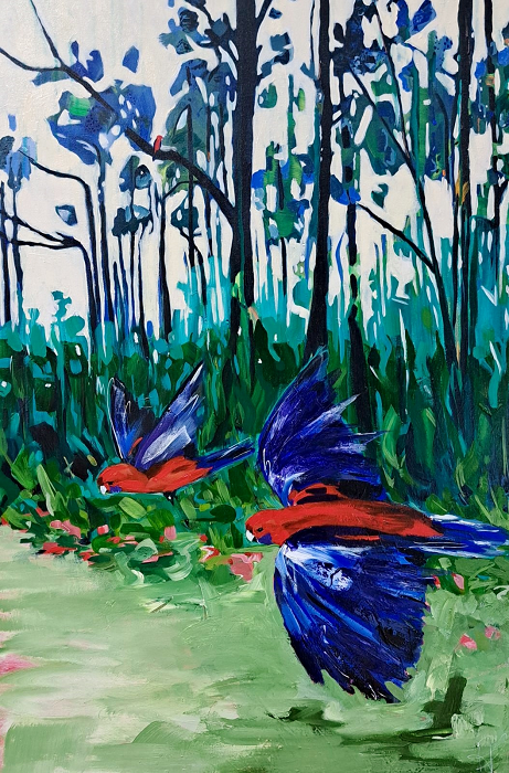 Rachel Knoester Rosella fly-by Australian artist Town & Country Gallery Gippsland