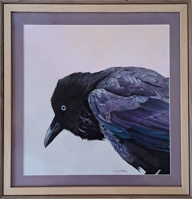 Sandy Martin Ronald the Raven pastel on board art Australian artist Town & Country Gallery Gippsland