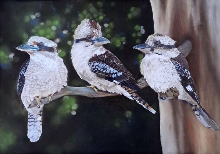 Sandy Martin pastel painting feature image Australian artist Town & Country Gallery Gippsland