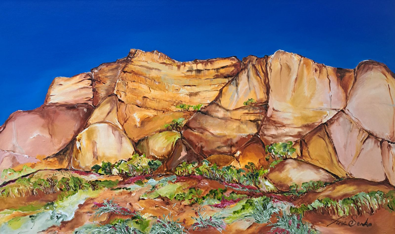 Tina Sonka Flinders Ranges Grevillea Gippsland Australian Artist Town & Country Gallery Yarragon