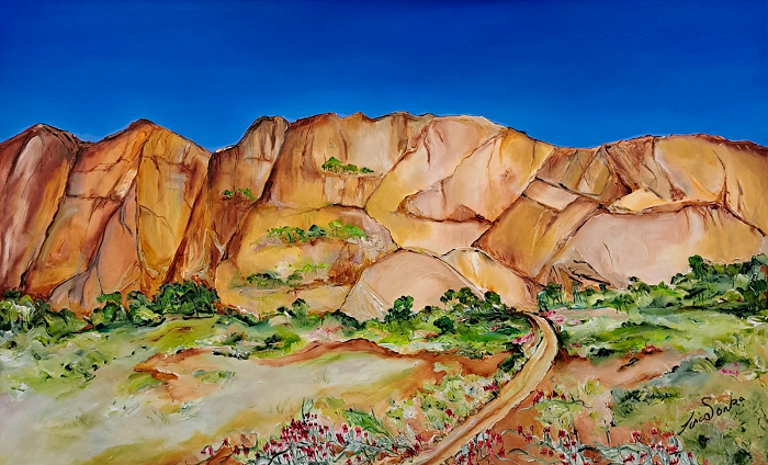Tina Sonka Flinders Ranges Australian artist Town & Country Gallery Gippsland